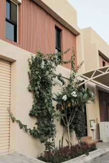 552A2655.jpg 552A2655.jpg